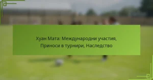 Хуан Мата: Международни участия, Приноси в турнири, Наследство
