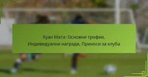 Хуан Мата: Основни трофеи, Индивидуални награди, Приноси за клуба