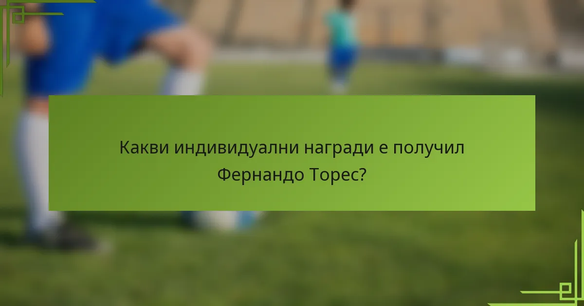 Какви индивидуални награди е получил Фернандо Торес?