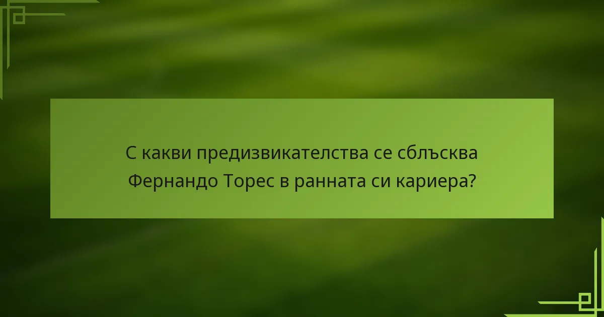 С какви предизвикателства се сблъсква Фернандо Торес в ранната си кариера?